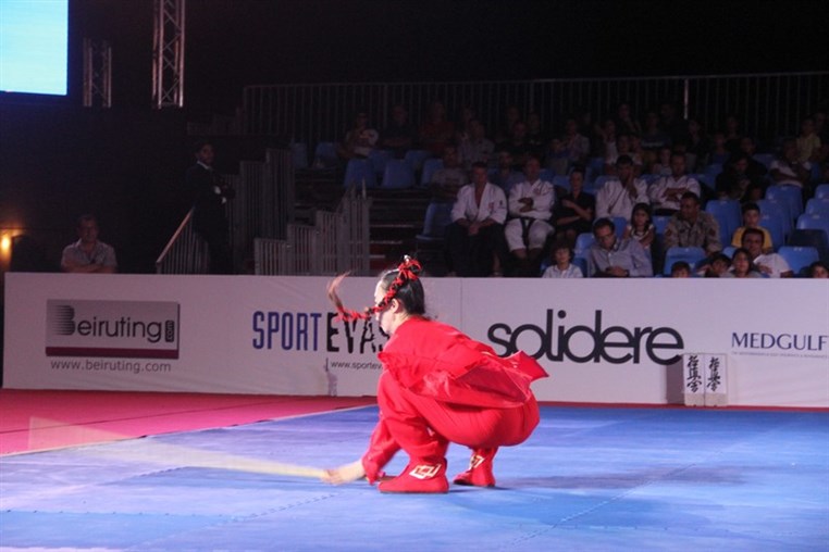 Martial Arts Festival